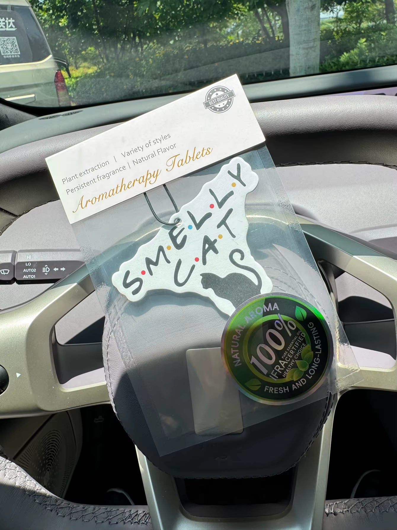 Interesting Tv Show Themed Gift Smelly Cat Car Air Freshener, Wardrobe Air Freshener, Perfume, Rearview Mirror Decoration, Car Accessories Interior Pendant, Natural Fragrance Air Purifier, Anime Cartoon Toilet Sachet, Living Room Office Room Bedside Hanging Ornament