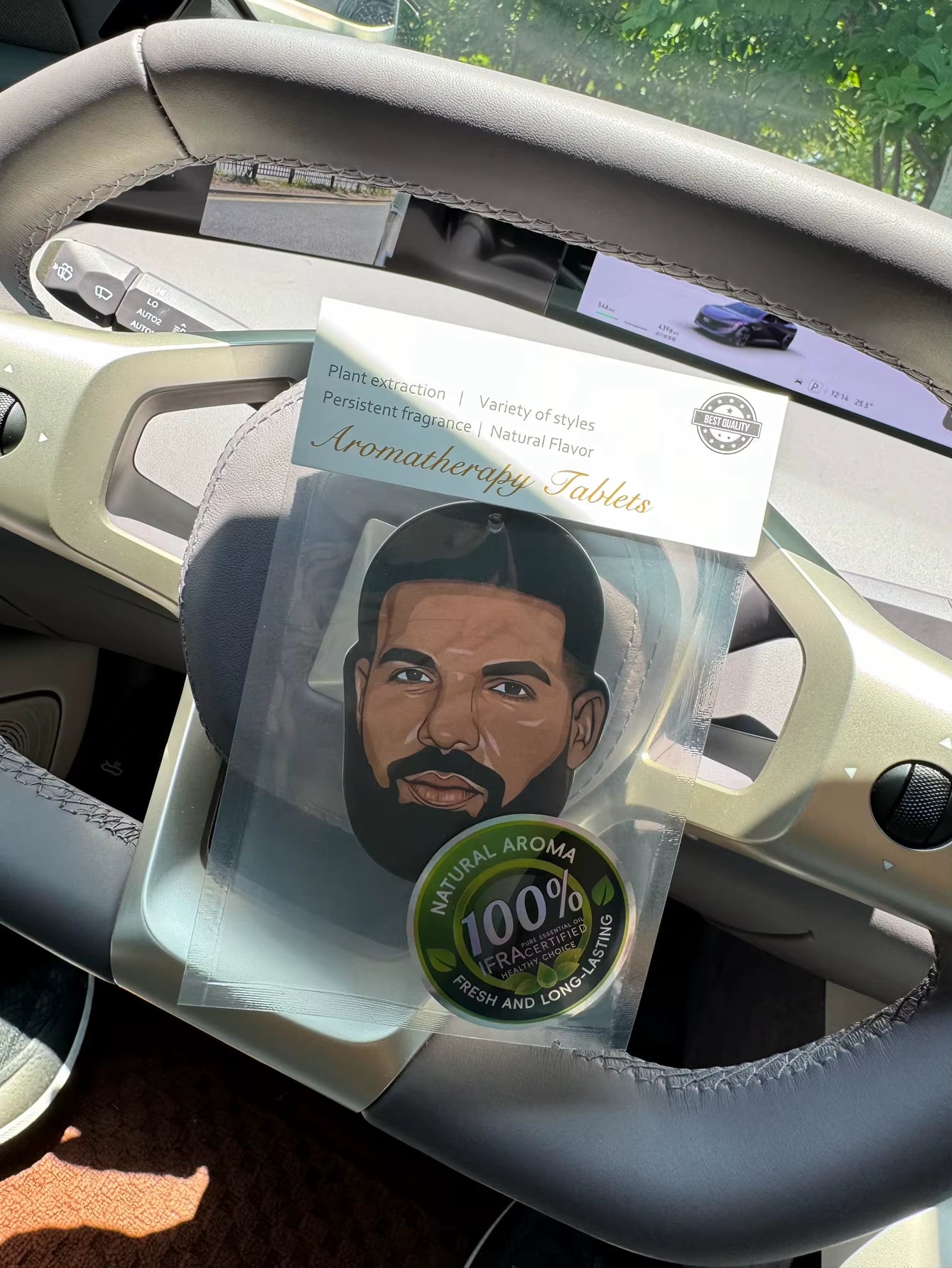 Drake Face Car Air Freshener, Wardrobe Air Freshener, Perfume, Rearview Mirror Decoration, Car Interior Pendant, Natural Fragrance Air Purifier, Anime Cartoon Toilet Sachet, Living Room Office Room Bedside Hanging Ornament
